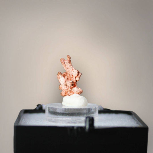 Native copper thumbnail from China featuring slender upright growth, forked crystalline projections, and bright copper-red metallic surfaces mounted on a clear acrylic riser.