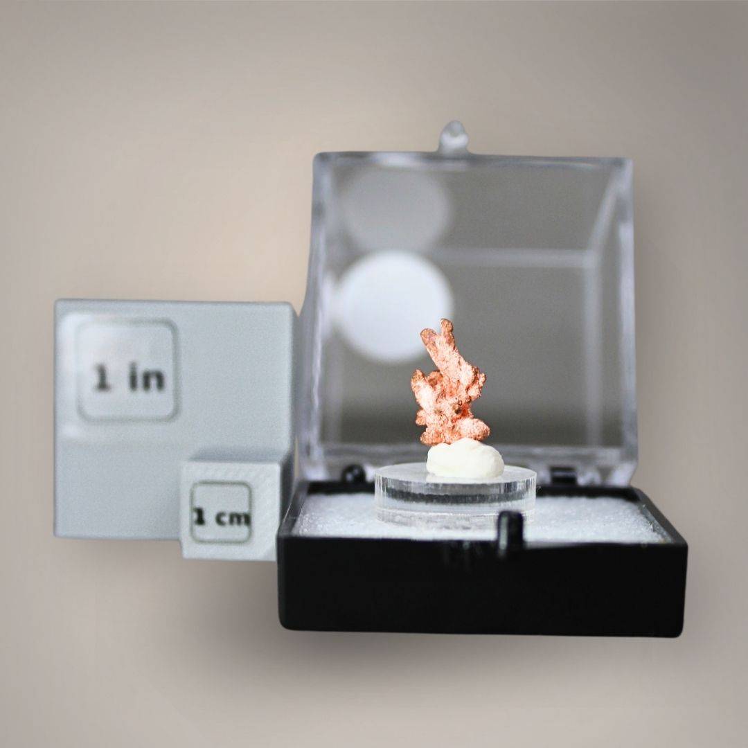 Native copper thumbnail from China displayed on a clear acrylic riser inside a protective perky box beside one-inch and one-centimeter scale cubes.