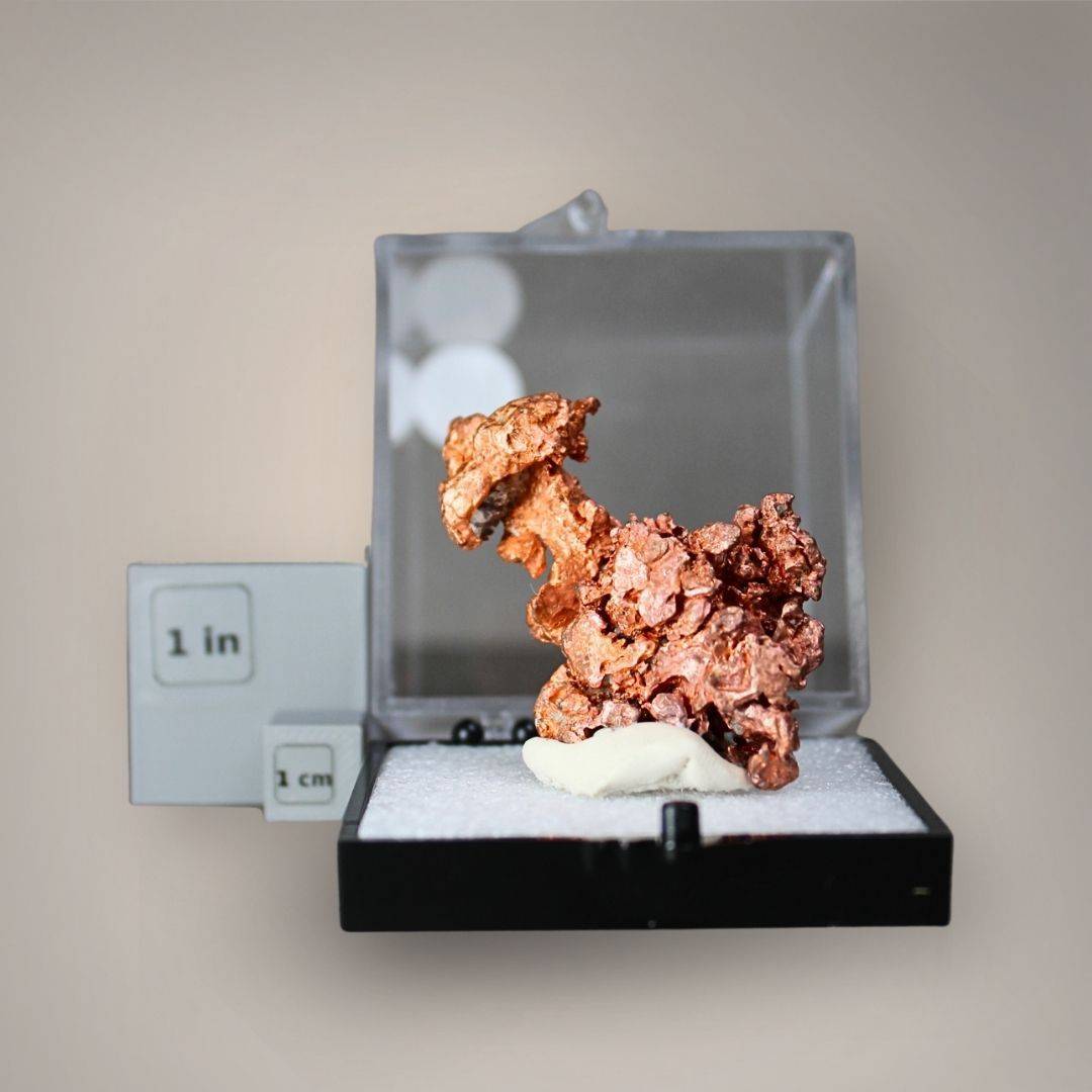 Native copper specimen from China displayed in a medium perky box beside one-inch and one-centimeter scale cubes, showing its compact branching formation.