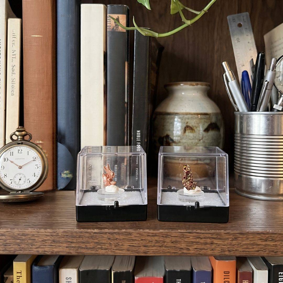 Two native copper thumbnail specimens from China displayed in clear protective perky boxes on a wooden bookshelf, with the compact upright specimen on the right beside books, a pocket watch, and writing instruments.