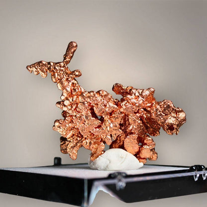 Chinese native copper specimen featuring intricate copper-red crystalline growth, irregular branching formations, and an elevated forked projection on a black perky base.