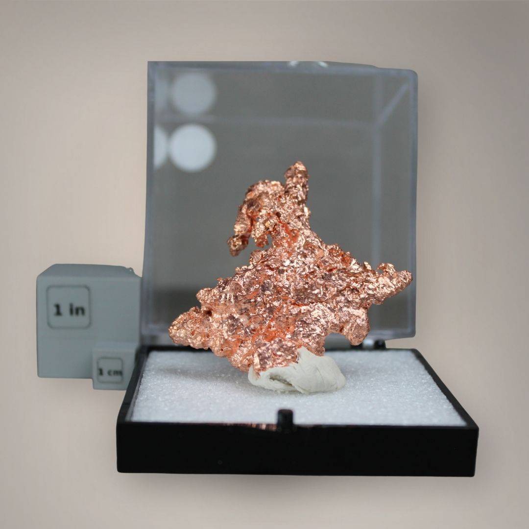 Native copper specimen from China displayed in a black perky box with clear cover and one-inch and one-centimeter scale cubes for size reference.