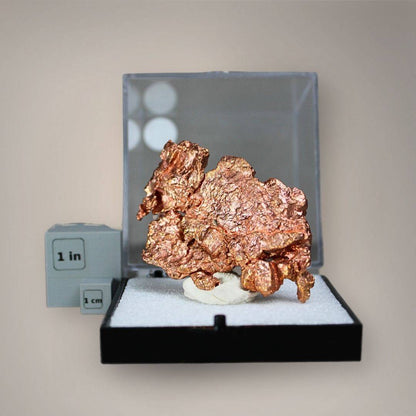 Native copper specimen from China displayed in a large perky box beside one-inch and one-centimeter scale cubes, showing its broad sculptural formation.