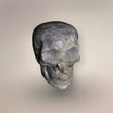 Labradorite Skull — Hand-Carved Labradorescence, Madagascar