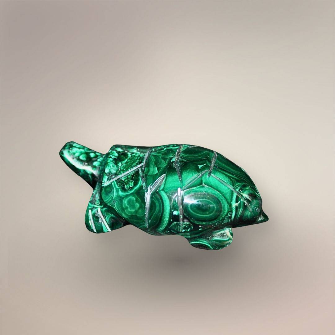 Side hero view of a Malachite turtle carving showing the domed patterned shell, extended head, and polished flippers.