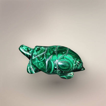Side hero view of a Malachite turtle carving showing the domed patterned shell, extended head, and polished flippers.
