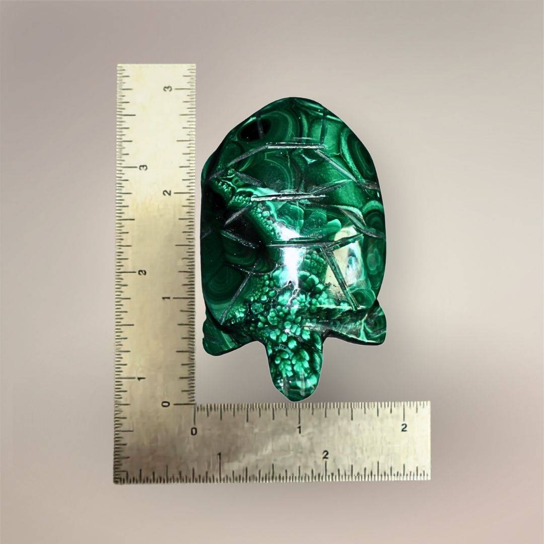 Malachite turtle carving beside inch rulers showing an approximate length within the 2.5–3 inch size range.