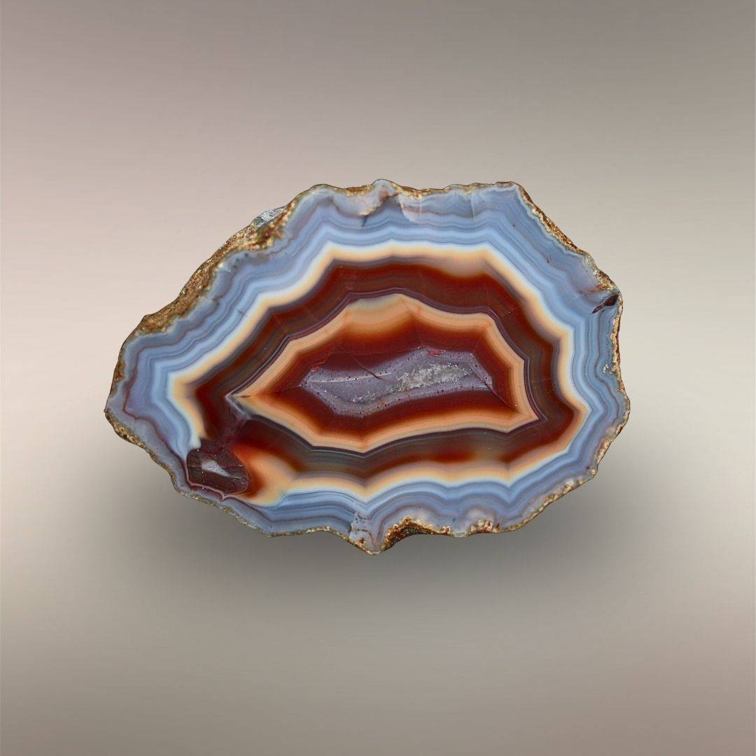 Single polished Ngabu Malawi Agate nodule half with layered blue-gray, cream, amber, and red-orange banding.