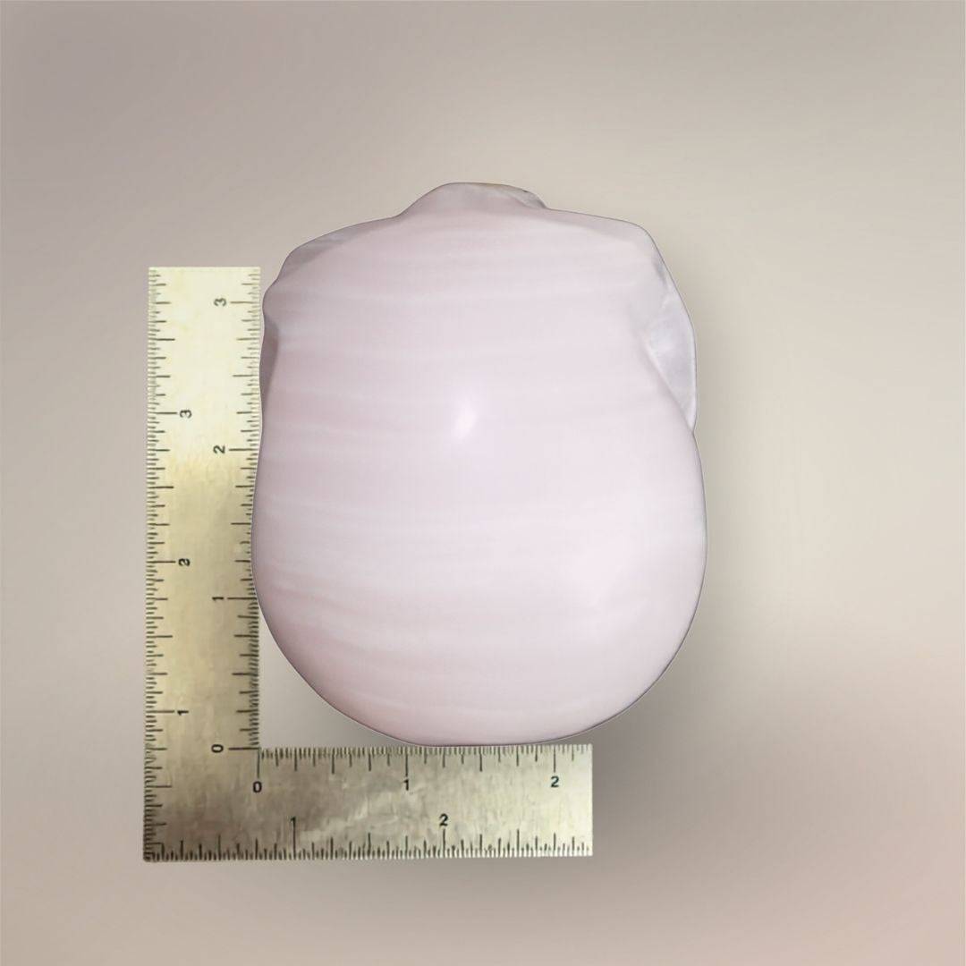 Rear view of 4-inch mangano calcite skull beside rulers showing the scale of the carved form.