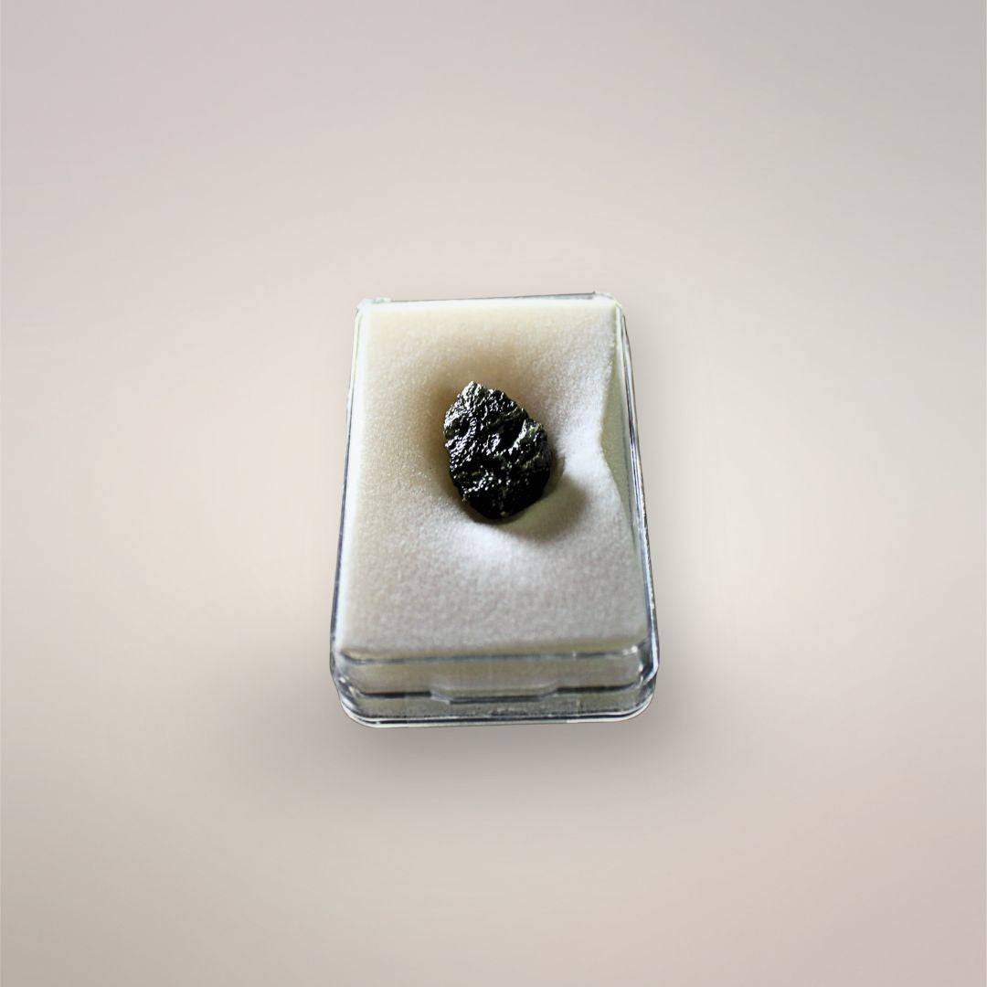 Top view of Czech Republic Moldavite resting in a specimen box, showing its dark surface, compact ellipsoid outline, and irregular pits.