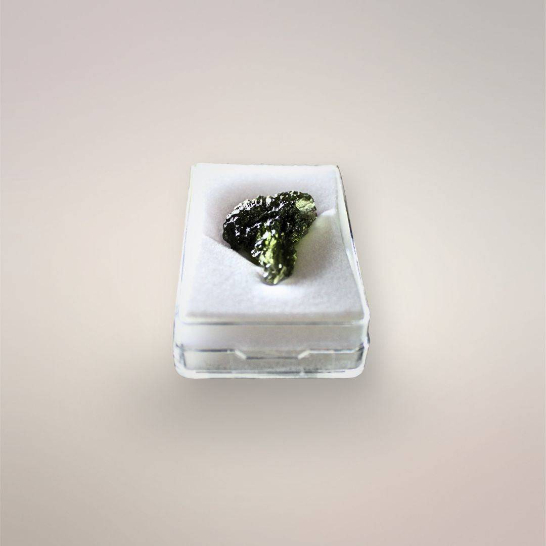 Czech Republic Moldavite resting in its protective acrylic case, showing its compact toenail scale, dark green surface, and pointed lower end.