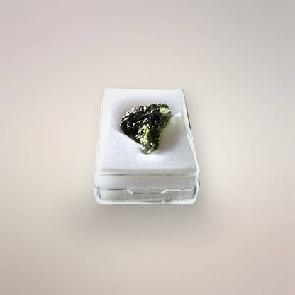 Czech Republic Moldavite resting in its protective acrylic case, showing its compact toenail scale, dark green surface, and pointed lower end.