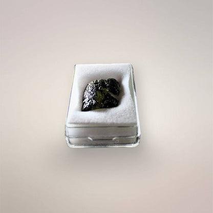 Front view of Czech Republic Moldavite in its protective acrylic case, showing a dark olive surface, thin profile, and open side notch.