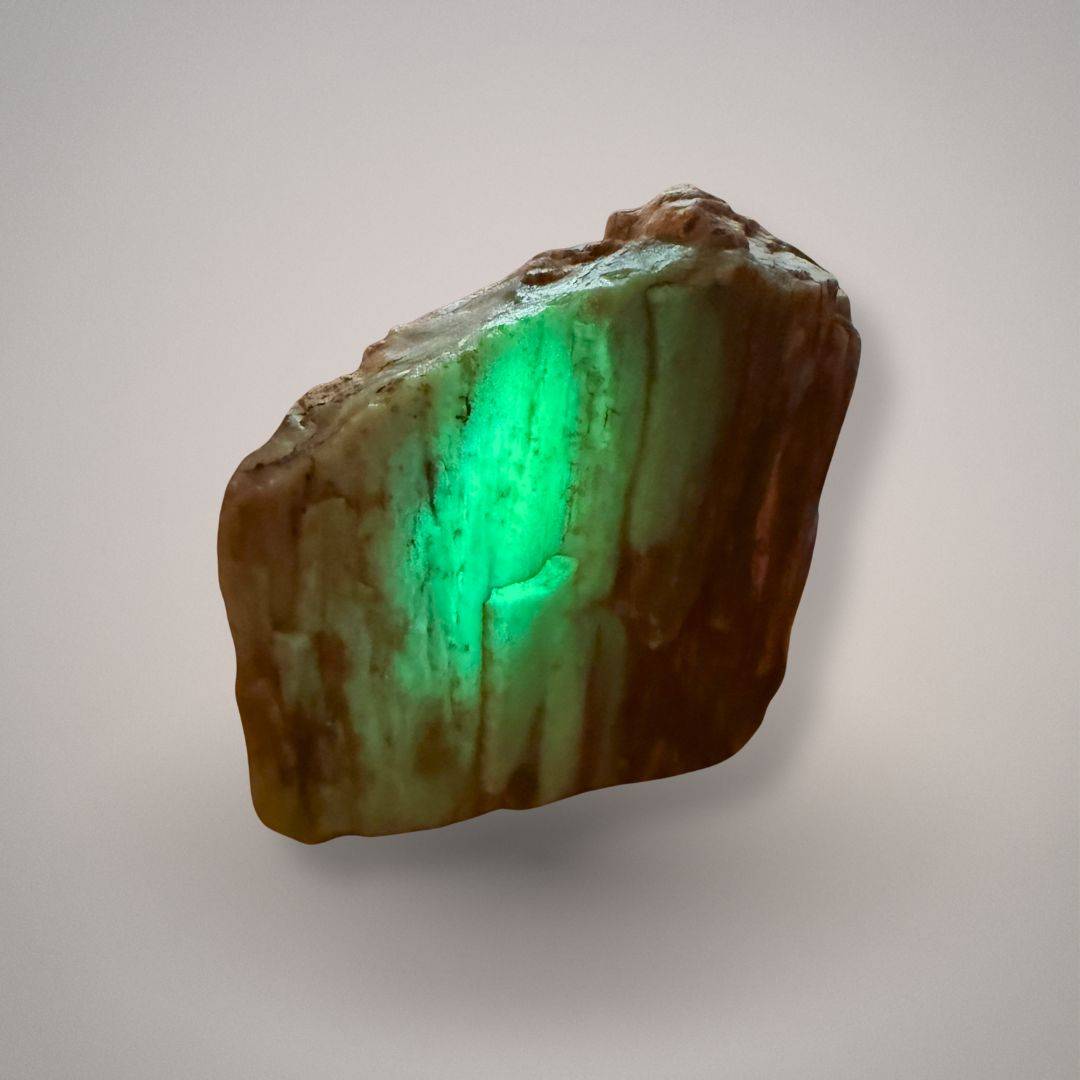 Petrified wood specimen 229 under UV illumination showing a bright green fluorescent response through the pale silicified wood areas.
