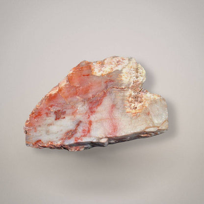 Petrified wood specimen 229 bottom view showing pale cream and translucent gray silica with red-orange mineral staining and rough natural margins.