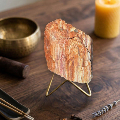 Petrified wood specimen 229 displayed upright on a brass-tone stand beside a singing bowl, candle, and incense.