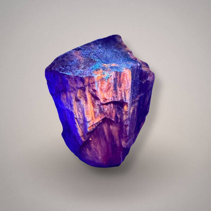 Petrified wood specimen 512 under UV illumination with blue-violet lighting and contrasting orange-pink areas across the silicified wood surface.