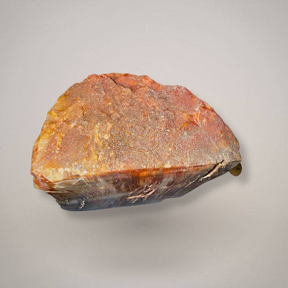 Petrified wood specimen 512 bottom view showing a rough reddish-brown surface above a darker silicified edge.