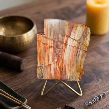Petrified wood specimen 512 displayed upright on a brass-tone stand beside a singing bowl, candle, and incense.