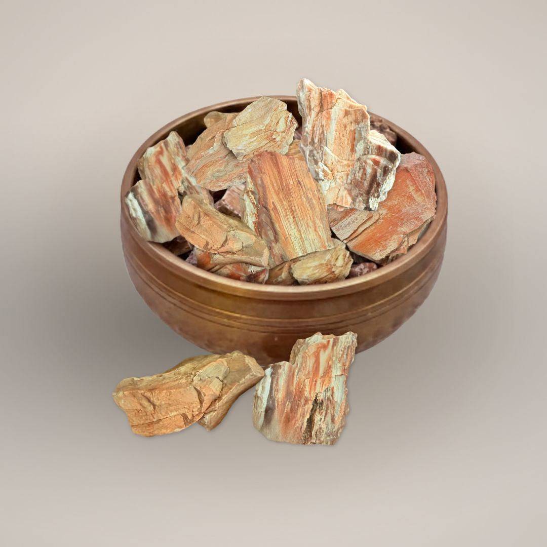 UV Petrified Wood rough pieces from Elko County Nevada displayed in a wooden bowl, showing natural tan, rust, cream, and fossil wood grain textures.