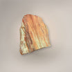 UV Petrified Wood Rough from Elko County, Nevada