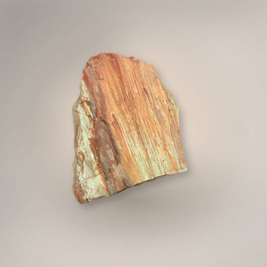 Single UV Petrified Wood rough piece from Nevada with warm peach, cream, and rust fossil wood banding on a neutral background.