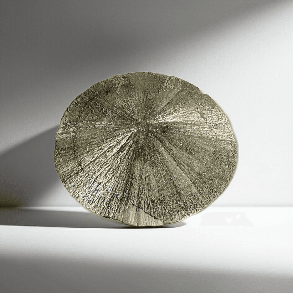 Rare Pyrite Sun Disc with metallic luster and radial symmetry, ideal for boosting confidence and prosperity in mineral collectibles.