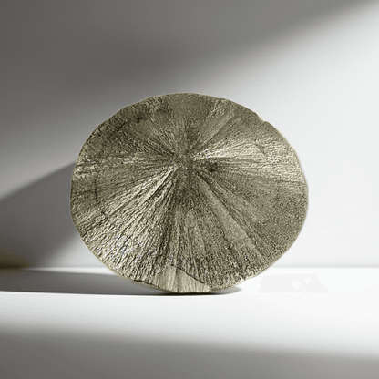 Rare Pyrite Sun Disc with metallic luster and radial symmetry, ideal for boosting confidence and prosperity in mineral collectibles.