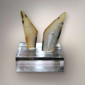 Polyhedral Agate Matched Pair — Honey with Dark Spots, Brazil