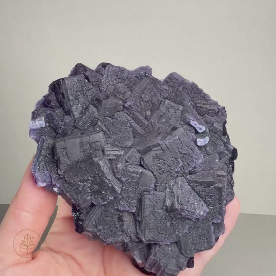 Hand displaying a full 360 view of this Dark purple stepped cubic fluorite crystals from China forming a densely intergrown cluster displayed upright on a clear acrylic stand.