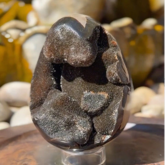 Rotating polished septarian egg specimen showing tan and dark brown patterning with sparkling druzy crystal cavities from multiple angles.