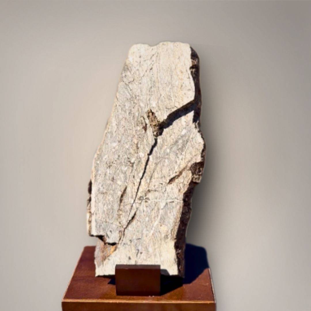 Back profile of the grey-brown matrix standing vertically on a custom walnut display base