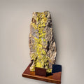 Front full view of the Pyromorphite specimen showcasing bright yellow-green crystal growth on dark host rock, displayed upright on a wood stand.