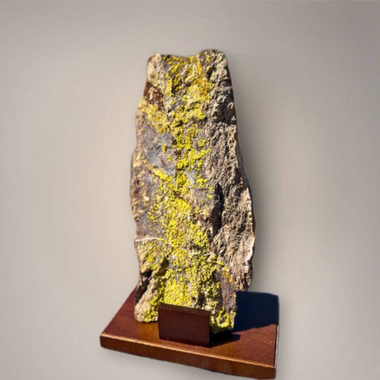 Front full view of the Pyromorphite specimen showcasing bright yellow-green crystal growth on dark host rock, displayed upright on a wood stand.