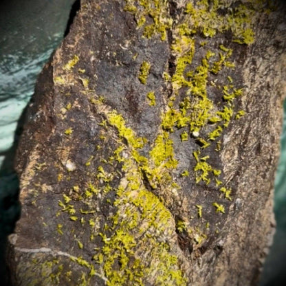 Close-up macro view of vivid yellow-green pyromorphite crystals resting against a patinated bronze statue.
