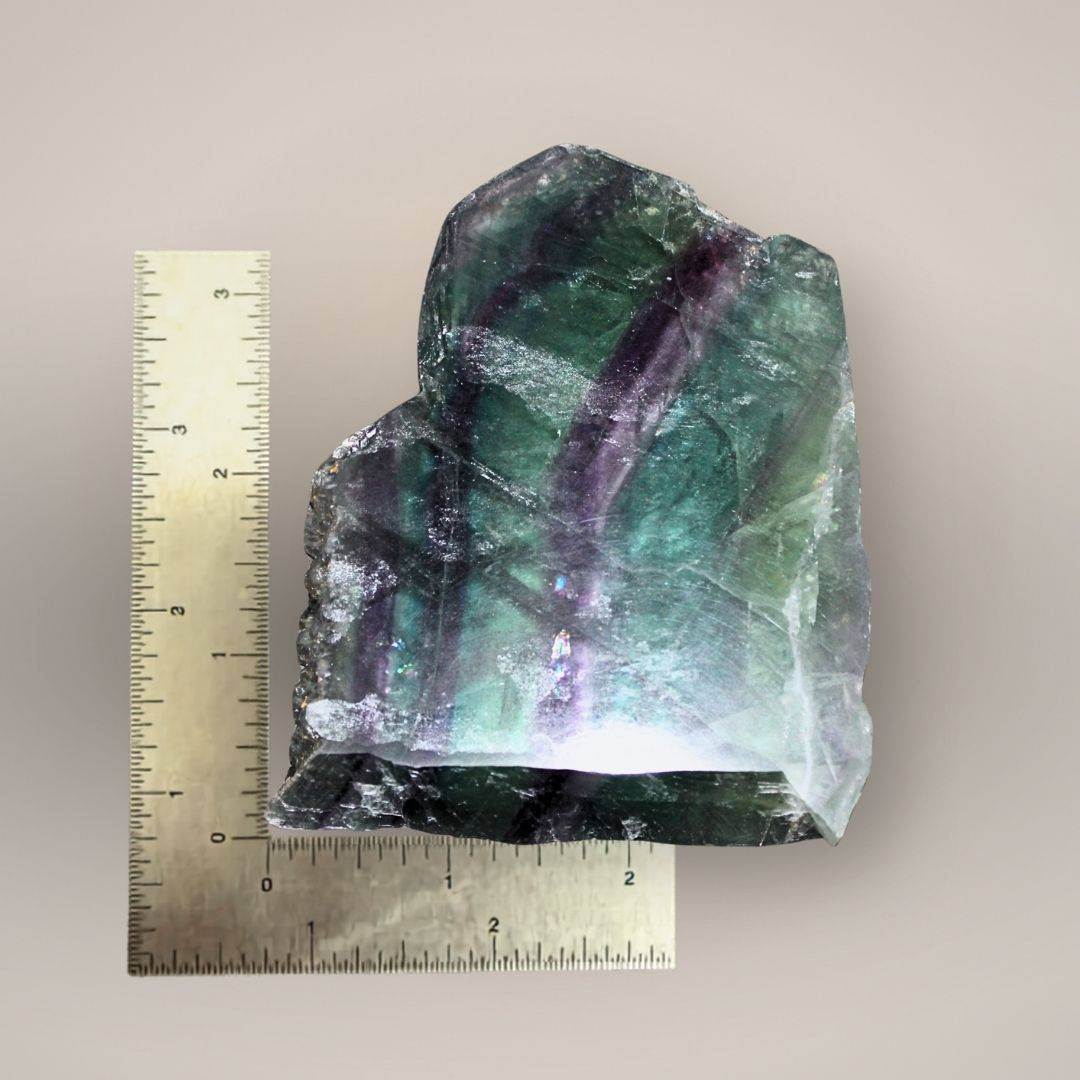 Scale image of 223g Rainbow Fluorite slab showing size, polish, and curved internal structure