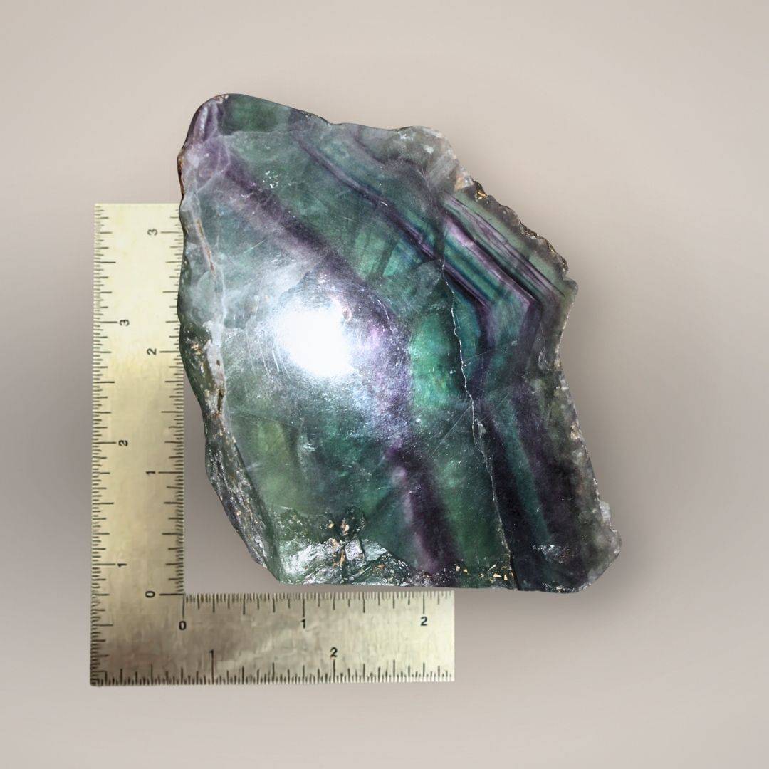 Ruler scale image of 299 g Rainbow Fluorite slab showing thick polished display size