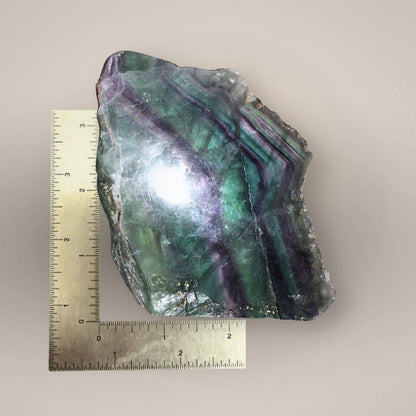 Ruler scale image of 299 g Rainbow Fluorite slab showing thick polished display size