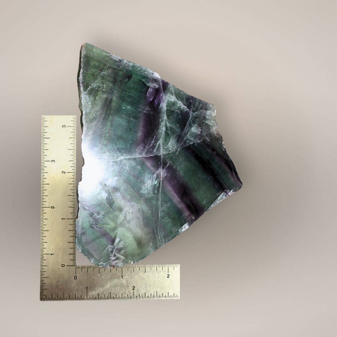 Ruler scale image of 318g Rainbow Fluorite slab showing large polished display size