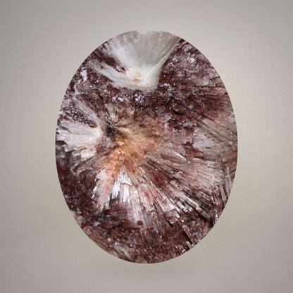 Macro detail of red scolecite specimen with acicular crystal sprays, white radiating growth, and iron-rich red mineral coloration