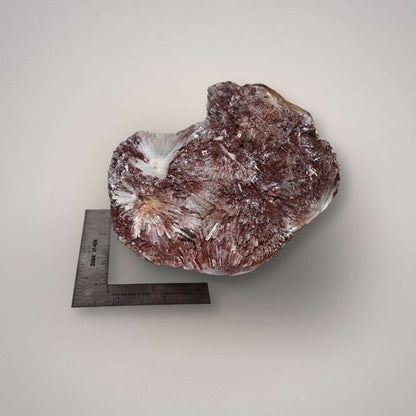 Cabinet-size red scolecite specimen from Maharashtra India shown with ruler for scale