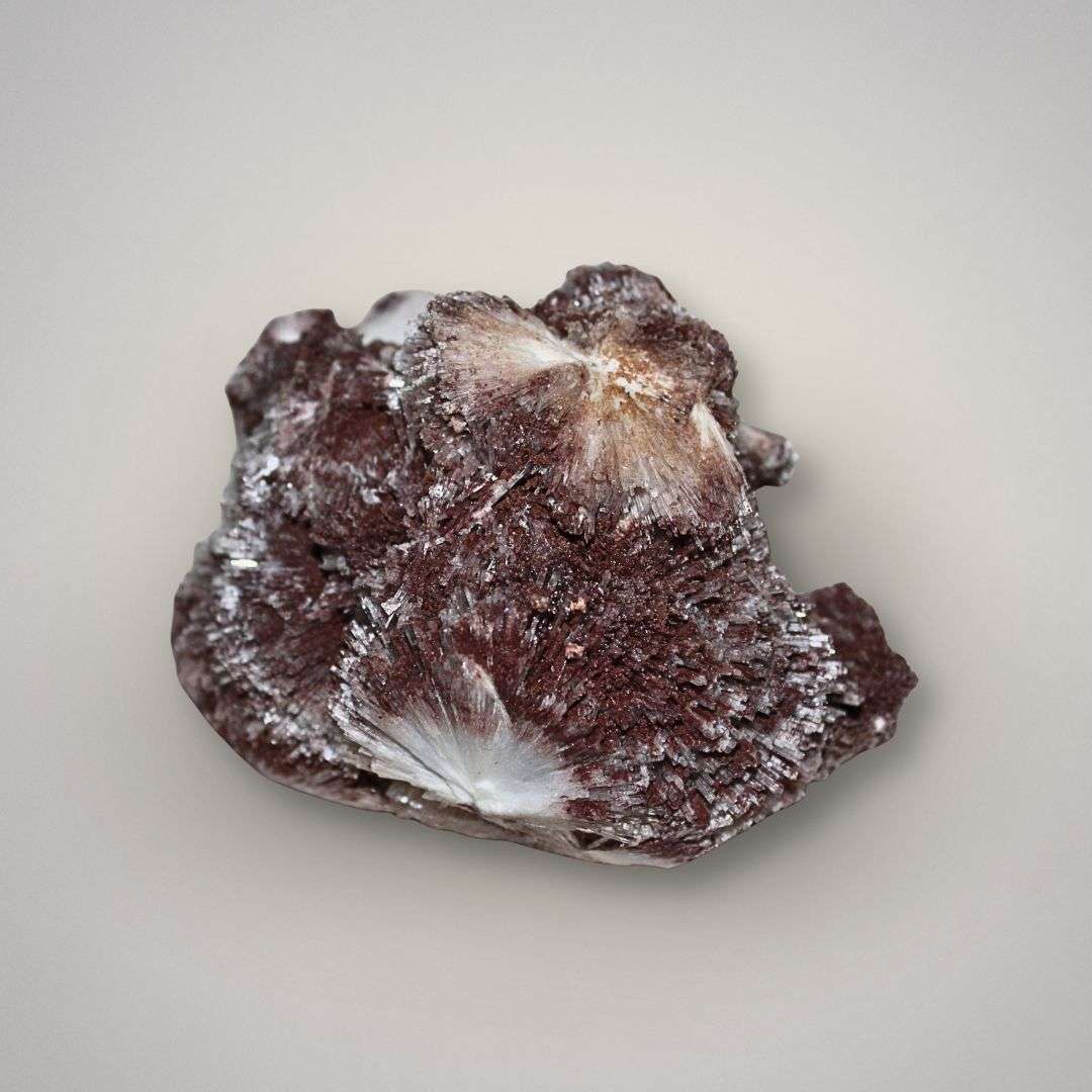 Side view of red scolecite spray specimen showing sculptural zeolite formation and deep red hematite-rich crystal surface