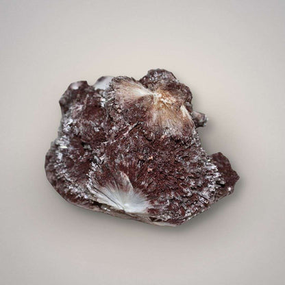 Side view of red scolecite spray specimen showing sculptural zeolite formation and deep red hematite-rich crystal surface