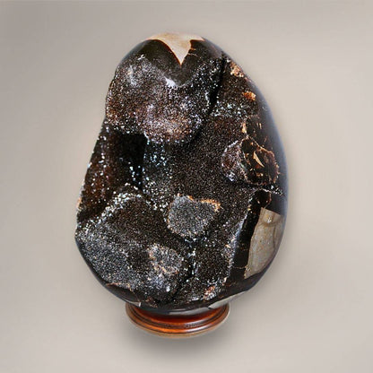 Madagascar Septarian Dragon Egg displayed on a stand in a natural-light cabinet setting with its open druzy cavity visible.