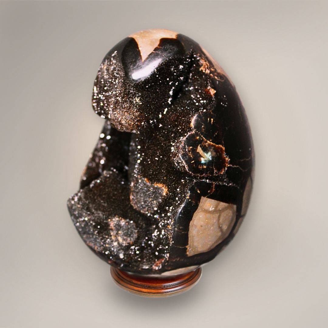 Angled view of Septarian Dragon Egg from Madagascar highlighting the open sparkling druzy cavity and polished outer surface.