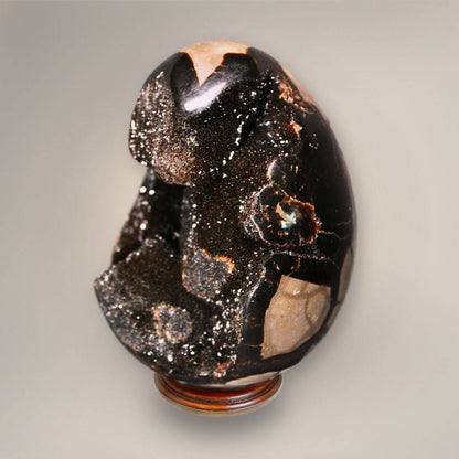 Angled view of Septarian Dragon Egg from Madagascar highlighting the open sparkling druzy cavity and polished outer surface.