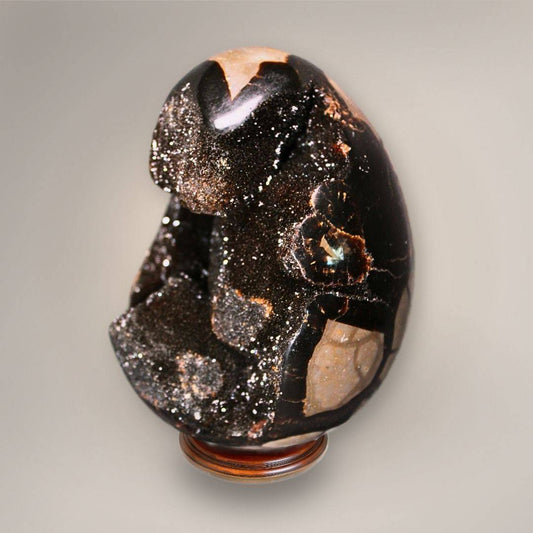 Angled view of Septarian Dragon Egg from Madagascar highlighting the open sparkling druzy cavity and polished outer surface.