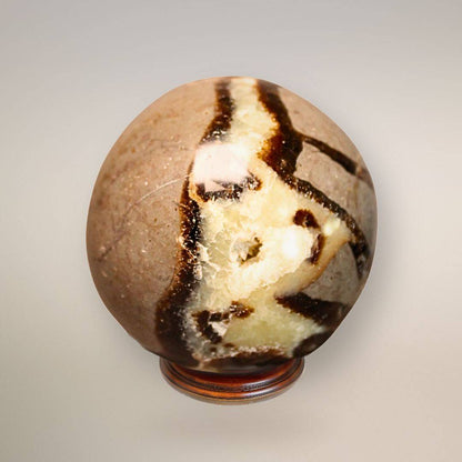 Front view of polished Septarian sphere showing cream mineral infill, dark brown veins, and a small crystal-lined opening.