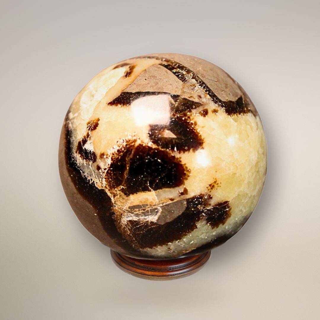 Reverse view of Madagascar Septarian sphere with contrasting golden-cream mineral sections and dark fracture patterns.
