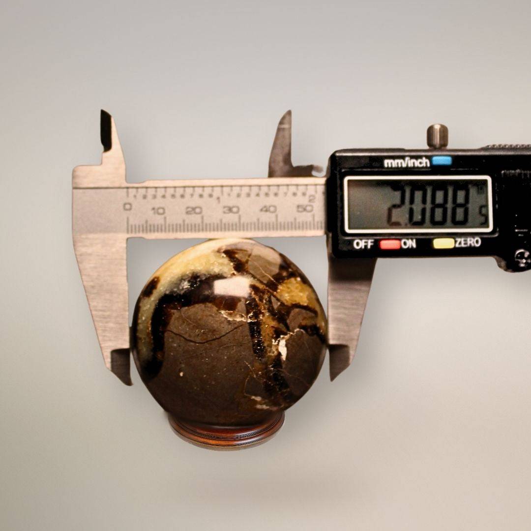 Septarian sphere positioned between digital caliper jaws to illustrate its approximately 2-inch diameter.